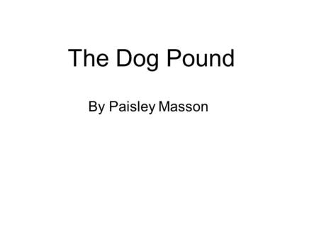 The Dog Pound By Paisley Masson. Once upon a time there was a dog. His name was Bob. Bob was a dog, a very nice dog.