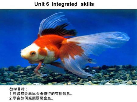 教学目标： 1. 获取有关扇尾金鱼特征的有用信息。 2. 学会如何照顾扇尾金鱼。 Unit 6 Integrated skills.