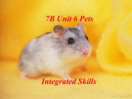 7B Unit 6 Pets Integrated Skills. Which is your favourite animal ? Can you tell me why ? I like my________ because ___________. dog.