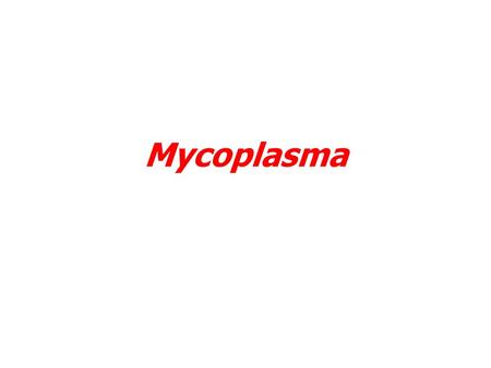 Mycoplasma. Mycoplasma has many different shapes because the microbe is absent of cell wall. Morphology and Staining.