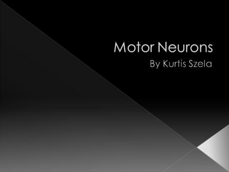  Carry impulses from the Central Nervous System to perform muscle movement  Motor Neurons are known as the control muscle  They directly or indirectly.