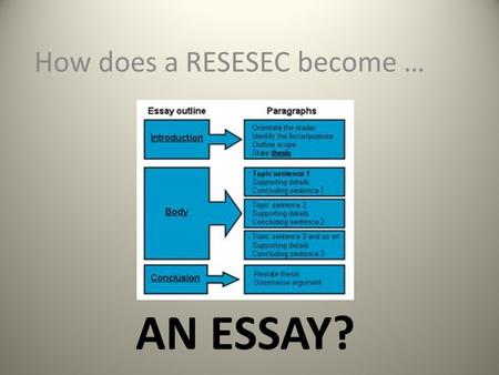 AN ESSAY? How does a RESESEC become …. RESESEC A RESESEC is just a mnemonic device for helping you to write an answer to an OPEN RESPONSE question. --