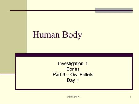 SHBI1P3D1PK1 Human Body Investigation 1 Bones Part 3 – Owl Pellets Day 1.