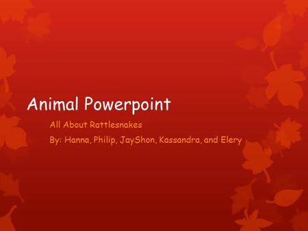 Animal Powerpoint All About Rattlesnakes By: Hanna, Philip, JayShon, Kassandra, and Elery.