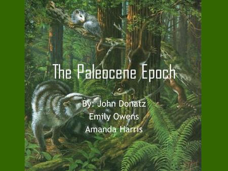 The Paleocene Epoch By: John Donatz Emily Owens Amanda Harris.