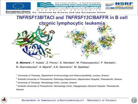 D EPARTMENT OF I MMUNOLOGY & H ISTOCOMPATIBILITY – U NIVERSITY OF T HESSALY TNFRSF13B/TACI and TNFRSF13C/BAFFR in B cell chronic lymphocytic leukemia.