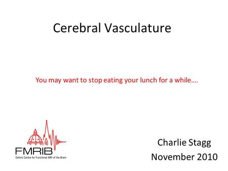 Cerebral Vasculature Charlie Stagg November 2010 You may want to stop eating your lunch for a while….