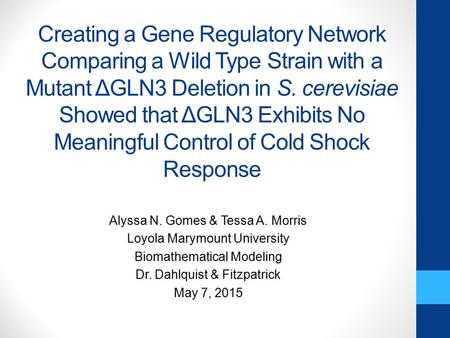 Creating a Gene Regulatory Network Comparing a Wild Type Strain with a Mutant ΔGLN3 Deletion in S. cerevisiae Showed that ΔGLN3 Exhibits No Meaningful.