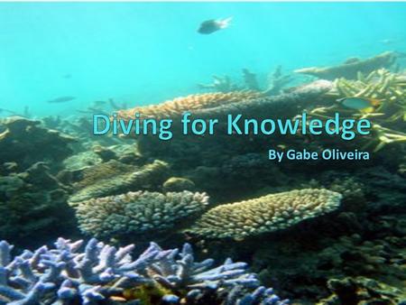 By Gabe Oliveira. Meet Gabe The Diver Hi. I’m a scuba diver named Gabe and I’m writing this journal to share my experiences of being in the ocean and.