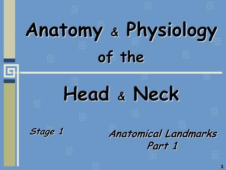 Anatomy & Physiology of the Head & Neck