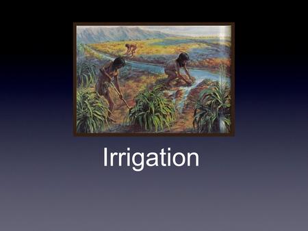 Irrigation. page 31 1) Page 31, Reading Like Historian, Art Panel in Royal Cemetery in Ur, primary.