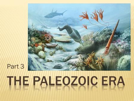 Part 3 The Paleozoic era.