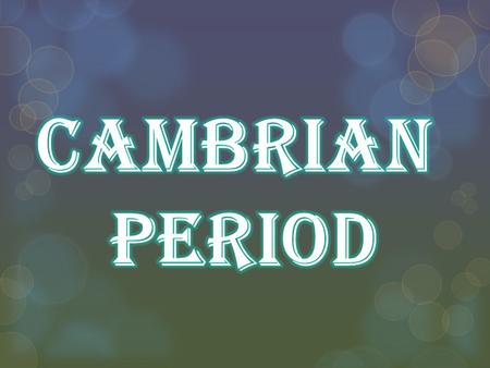 Cambrian Period.