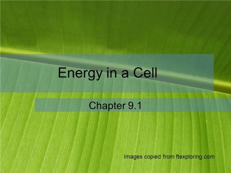 Energy in a Cell Chapter 9.1 Images copied from ftexploring.com.