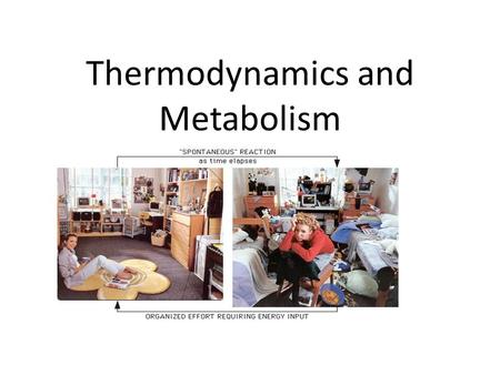 Thermodynamics and Metabolism. Thermodynamics: the science of energy transformations (flow of energy through living and non- living systems)