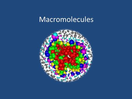 Macromolecules. 1. What does “macro” mean in macromolecules? Macro means large.