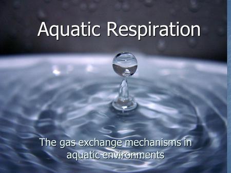 Aquatic Respiration The gas exchange mechanisms in aquatic environments.