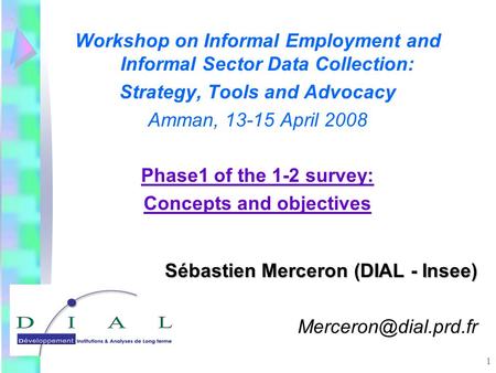 1 Workshop on Informal Employment and Informal Sector Data Collection: Strategy, Tools and Advocacy Amman, 13-15 April 2008 Phase1 of the 1-2 survey: Concepts.