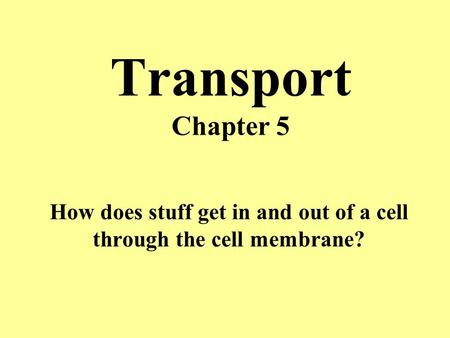 Transport Chapter 5 How does stuff get in and out of a cell through the cell membrane?
