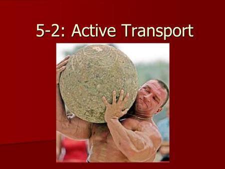 5-2: Active Transport. What is Active Transport? In many cases, cells must move materials up their concentration gradient, from an area of low concentration.