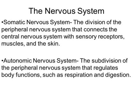 The Nervous System Somatic Nervous System- The division of the peripheral nervous system that connects the central nervous system with sensory receptors,