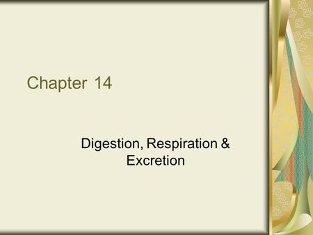 Chapter 14 Digestion, Respiration & Excretion. I.The Digestive System A.Functions 1. Digestion breaks down food so nutrients can be absorbed and moved.