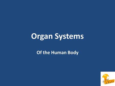 Organ Systems Of the Human Body. Circulatory System Circulatory System This system is made up of the heart, blood, blood vessels, and lymphatics. It is.