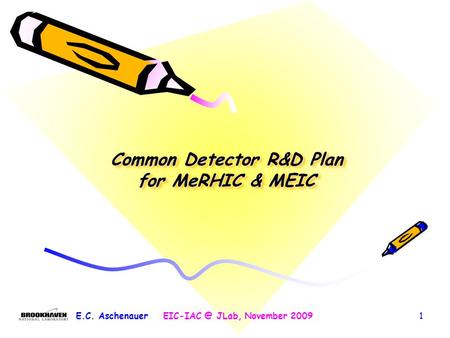 Common Detector R&D Plan for MeRHIC & MEIC E.C. JLab, November 20091.