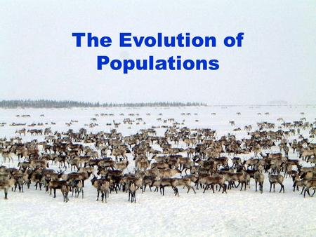 The Evolution of Populations. Organisms do not evolve. – Common misconception. – An organism’s genes are fixed at birth. Populations are the smallest.