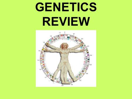 GENETICS REVIEW. A physical trait that shows as a result of an organism’s particular genotype. PHENOTYPE.