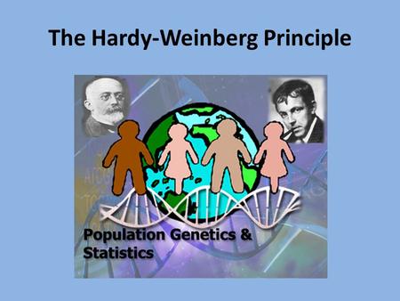 The Hardy-Weinberg Principle. Modern biologists’ definition of “evolution” = the change in genetic makeup (or gene pool) of a population over time. What’s.