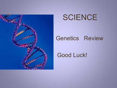 SCIENCE Genetics Review Good Luck! #1 What do we call the passing of traits from parents to offspring? Probability Recessive Heredity.