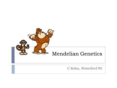 Mendelian Genetics C Kohn, Waterford WI. Genetics  Genetics is the study of inheritance of genes.  i.e. genetics is how traits are passed down from.