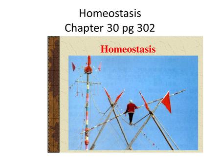 Homeostasis Chapter 30 pg 302. Objectives of class To define what is meant by the external and internal environment To Define homeostasis To investigate.