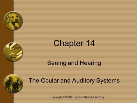 Copyright © 2006 Thomson Delmar Learning Chapter 14 Seeing and Hearing The Ocular and Auditory Systems.