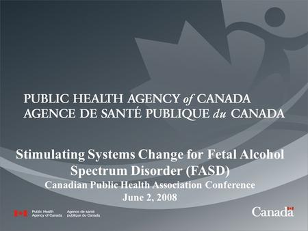 1 Stimulating Systems Change for Fetal Alcohol Spectrum Disorder (FASD) Canadian Public Health Association Conference June 2, 2008.