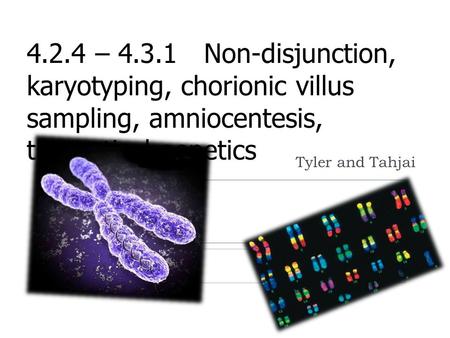 4.2.4 – 4.3.1 Non-disjunction, karyotyping, chorionic villus sampling, amniocentesis, theoretical genetics Tyler and Tahjai.