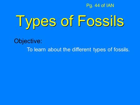 Types of Fossils Pg. 44 of IAN Objective: To learn about the different types of fossils.