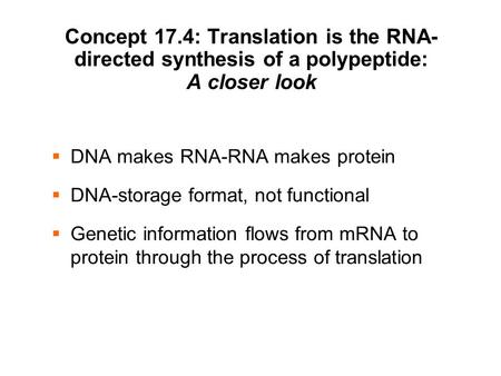 DNA makes RNA-RNA makes protein DNA-storage format, not functional