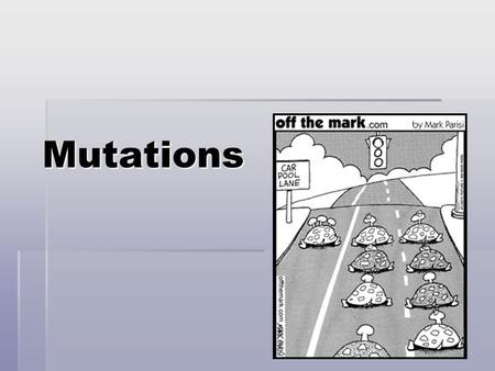 Mutations. Mutation  Permanent changes or errors in a DNA sequence  Copied during DNA replication  Therefore heritable  OR may occur during transcription.