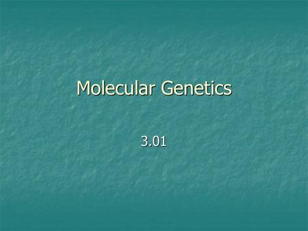 Molecular Genetics 3.01. Information The sequence of nucleotides in DNA codes for proteins. Proteins are the central key to cell function.