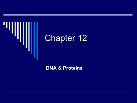 Chapter 12 DNA & Proteins.