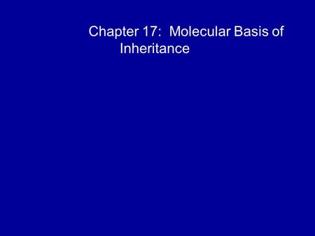 Chapter 17: Molecular Basis of Inheritance. Overview: The Flow of Genetic Information The information content of DNA is in the form of specific sequences.