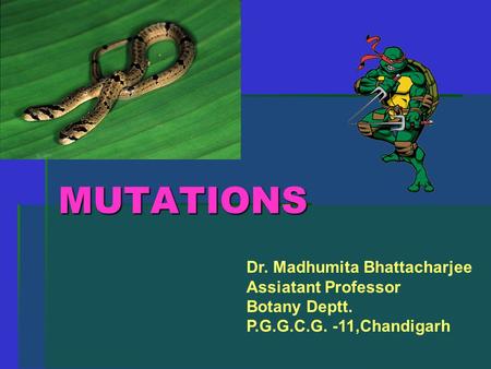MUTATIONS Dr. Madhumita Bhattacharjee Assiatant Professor Botany Deptt. P.G.G.C.G. -11,Chandigarh.