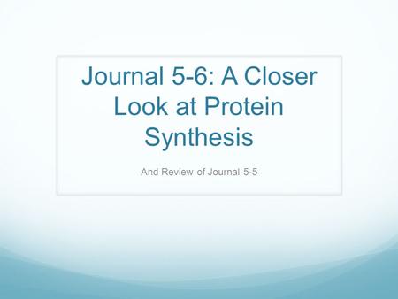 Journal 5-6: A Closer Look at Protein Synthesis And Review of Journal 5-5.