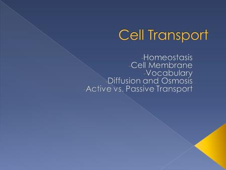 Cell Transport Homeostasis Cell Membrane Vocabulary