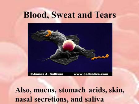 Blood, Sweat and Tears Also, mucus, stomach acids, skin, nasal secretions, and saliva.