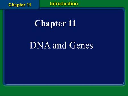 Chapter 11 DNA and Genes.