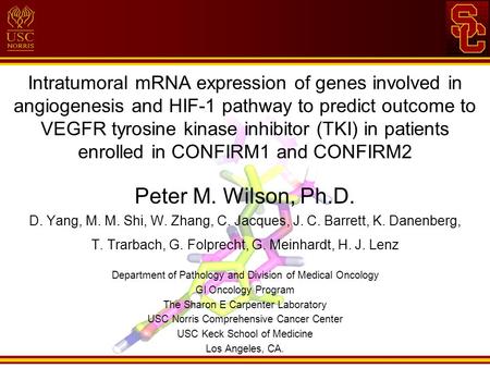 Intratumoral mRNA expression of genes involved in angiogenesis and HIF-1 pathway to predict outcome to VEGFR tyrosine kinase inhibitor (TKI) in patients.