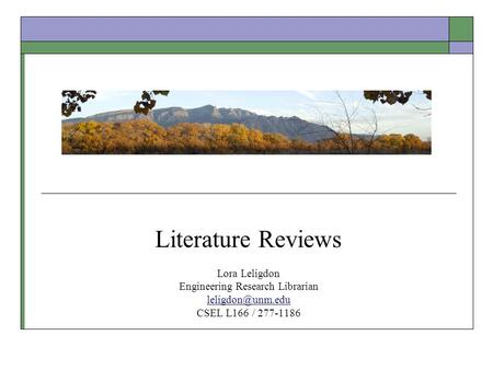 Literature Reviews Lora Leligdon Engineering Research Librarian CSEL L166 / 277-1186.